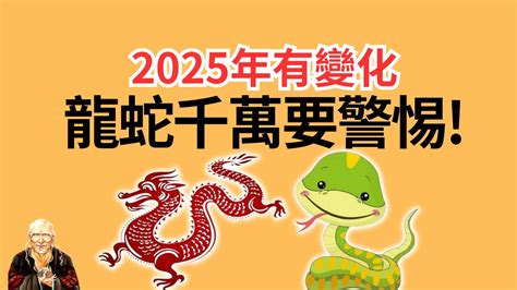 2025 年生肖|2025蛇年生肖運程蘇民峰｜屬雞人緣好、職場升遷機會大但要小 